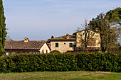 Traditional architecture of a farmhouse on a lavender farm in Sienna Province, Italy.