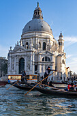 Gondolas & the Basilica of Santa Maria della Salute on the Grand Canal in Venice, Italy.