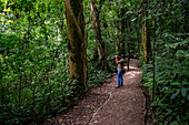 George of the Cloud Forest, guide and specialist, using binoculars to spot wildlife in Monterey cloud forest during fauna tour, Costa Rica