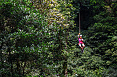 Junge kaukasische Frau hat Spaß bei einer Canopy-Tour in Costa Rica