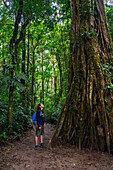 Young caucasian woman admires a Large Strangler Fig Tree (Ficus costaricana), Monteverde, Costa Rica