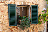 Hölzerne Fensterläden an einem Gebäude in der mittelalterlichen Stadt Monteriggioni,Siena,Toskana,Italien. Eine Topfpflanze steht auf der Fensterbank.