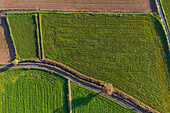 Aerial view of the fields in La Alfranca area in Zaragoza, Spain