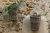 Wicker baskets with plants on a wall in the medieval walled town of Monteriggioni, Sienna, Tuscany, Italy.