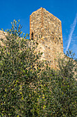 Wachturm auf der Stadtmauer der mittelalterlichen Festungsstadt Monteriggioni,Siena,Toskana,Italien. Von außen betrachtet.