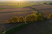 Aerial view of the fields and trees in La Alfranca area in Zaragoza, Spain