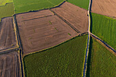 Aerial view of the fields in La Alfranca area in Zaragoza, Spain