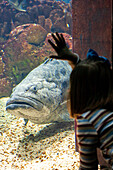 A curious girl watches a large fish swim gracefully in the Lisbon Oceanário, captivated by the beauty of ocean life.