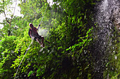 Canyoning and waterfall rappelling experience with Pure Trek in La Fortuna, Costa Rica