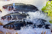 Fresh fish on ice at a sidewalk cafe in Venice, Italy.