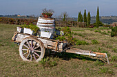 A vintage farm cart used as decoration on a lavender farm in the Sienna Province of Italy.