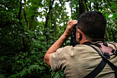 George of the Cloud Forest, guide and specialist, using binoculars to spot wildlife in Monterey cloud forest during fauna tour, Costa Rica