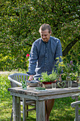 Man decorating garden table, bouquet of flowers with spicy fennel, oregano, mint in the garden