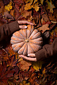 Women's hands with pumpkin on autumn leaves