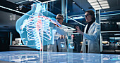Bioengineers working with human chest hologram
