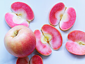 Apple variety 'Lucy red'