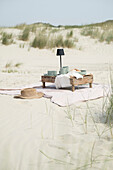 Stylish picnic in the dunes