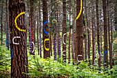 Oma Forest is a work of art by Agustin Ibarrola, a Basque sculptor and painter, in the natural reserve of Urdaibai, Oma, Vizcaya, Basque country Euskadi, Spain