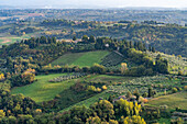 Agricultural land with grape vinyards & olive orchards around San Gimignano, Italy.