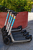 Bird electric scooters for rent for transportation in the Piazza del Duomo in Florence, Italy.