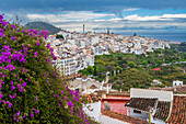 Picturesque view of Frigiliana village in the Malaga region, surrounded by lush greenery.