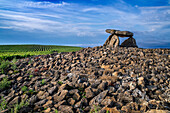 Sorgiñaren Txabola, Chabola de La Hechicera dolmen neolithic, Elvillar, Alava, araba Basque Country, Euskadi Spain.