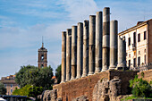 Roman columns along the Via Sacra in the Colosseum Archaeological Park with the Palazzo Senatorio tower in Rome, Italy.