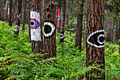 Oma Forest is a work of art by Agustin Ibarrola, a Basque sculptor and painter, in the natural reserve of Urdaibai, Oma, Vizcaya, Basque country Euskadi, Spain