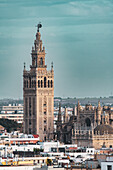 Iconic Giralda Tower and Catedral de Sevilla in urban landscape during clear sunny weather.