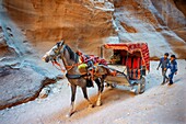 Bedouin riding horse carriage in the Siq, Petra, UNESCO World Heritage Site, Jordan. Outer Siq Yellow Canyon Morning Hiking To Entrance Into Petra Jordan Petra Jordan. Colorful Yellow Pink Canyon becomes rose red when sun goes