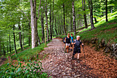 Lizarrusti park, Aralar natural park, beech forest Guipuzcoa Navarra, Goierri, Basque Highlands Basque Country, Gipuzkoa, Euskadi Spain, GR path Altxonbide ibilbidea. GR 35