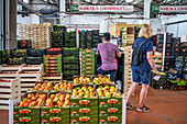 Local production, Fruit and Vegetable section, in Mercabarna. Barcelona´s Central Markets. Barcelona. Spain