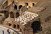 Detail of the marble seating for the elites in the Roman Colosseum or Flavian Amphitheater in Rome, Italy.