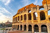 The ancient Roman Colosseum or Flavian Amphitheater with golden sunset light in Rome, Italy.