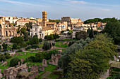 View of the Colosseum, Forum and Arch of Titus from Palatine Hill in Rome, Italy. Bell tower of the Basilica of Santa Francesca Romana at left.