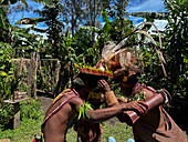 The Huli Wigmen of Papua New Guinea, Highlands Region