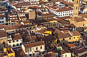 The rooftops of Florence, Italy, viewed from the tower of the Palazzo Vecchio.