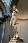 The original David statue by Michelangelo in the Accademia Gallery in Florence, Italy.