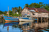 Boat mangrove discovery tour in Sebung River, Bintan island, Riau islands, Indonesia.