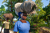 Haiti Voodoo Festival in Saut d'Eau, in Saut d'Eau, Ville Bonheur, Haiti. Thousands of both Vodou and Catholic followers gathered under the Saut d'Eau waterfall in Haiti. The pilgrimage, made by Voodou practitioners and Catholics alike, originated with the sighting of the likeness of the Virgin Mary on a palm leaf close to the falls half a century ago. Catholism and Voodou practices are forever intertwined in its Haitian form. The appearance of a rainbow beneath the falls is said indicate that Danbala - the great lord of the waterfall - and Ayida Wedo - the rainbow - are making love. Fertility