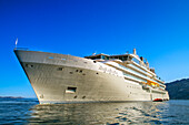 Silversea Endeavor in the coast of East Greenland near Skjoldungen Fjord