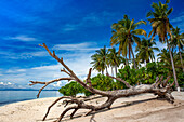 Kalanggaman island beach, Malapascua, Cebu, Philippines