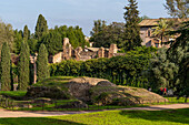 Roman ruins on Palatine Hill in the Colosseum Archaeological Park. Rome, Italy.