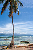 Palm trees on the beach in Cayes-à-L’eau, a fishermen islet located northeast of Caye Grand Gosie, Île-à-Vache, Sud Province, Haiti