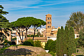 Romanesque bell tower of the Basilica of Santa Francesca Romana in the Colosseum Archaeological Park. Rome, Italy.