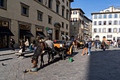 Von Pferden gezogene Kutschen für Touristen auf der Piazza San Giovanni im historischen Florenz, Italien.