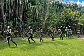 The Skeleton Men from the Omo Bugamo tribe of Papua New Guinea paint their bodies with black and white paint emulating the human skeleton, Chimbu Province, Papua New Guinea