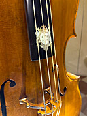 Fingerboard decoration on a cello by Nicolo Amatai from 1650 in the Accademia Gallery in Florence, Italy.