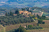 Agricultural land with grape vinyards & olive orchards around San Gimignano, Italy.