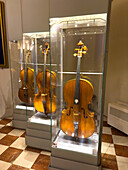 Violincellos in der Accademia-Galerie in Florenz, Italien. Das vordere Cello ist ein Werk von Nicolo Amati, um 1650. Die beiden anderen Celli stammen von Fabrizio Senta und Rocco Doni.